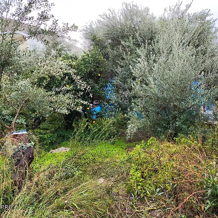 Giannis Gerakios By Climbing House *