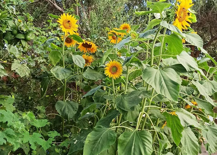 شقة Giannis Gerakios By Climbing House *