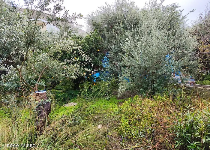 Giannis Gerakios By Climbing House *