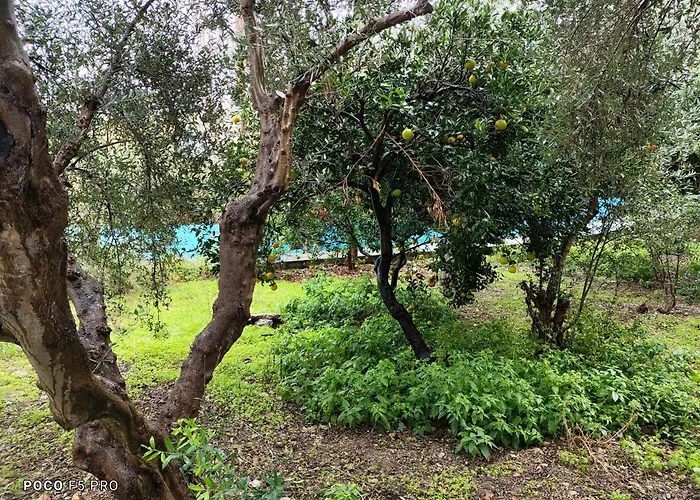 Giannis Gerakios By Climbing House